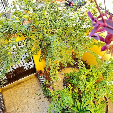 Апартаменты Precioso Junto A Ruzafa En Edificio Tipico Valenciano Валенсия