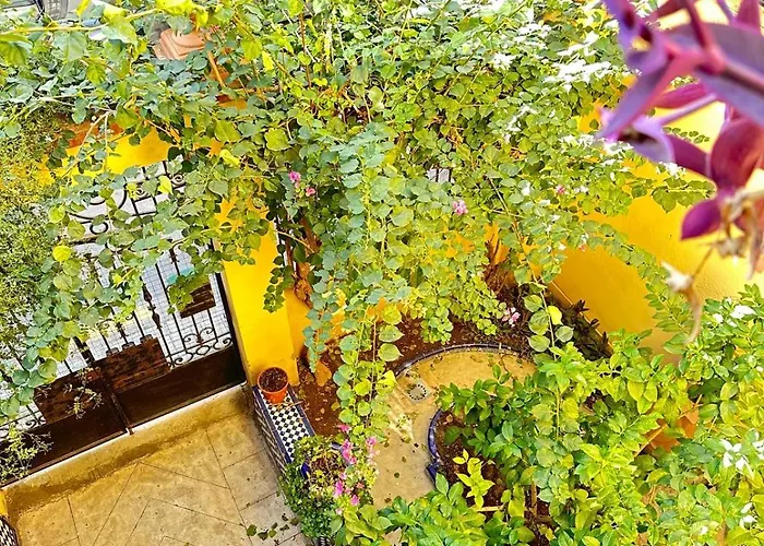 Apartman Precioso Junto A Ruzafa En Edificio Tipico Valenciano Valencia